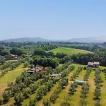Rustico By Interhome Bibbona
