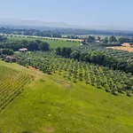 Rustico By Interhome Bibbona