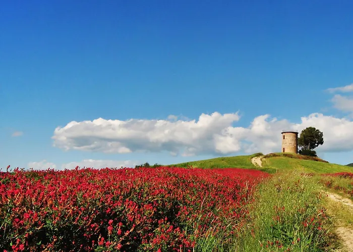 Rustico By Interhome